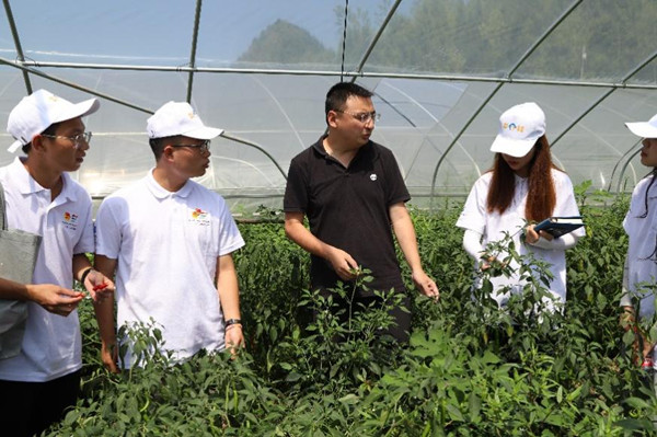 实践团参观蔬菜大棚。beat365在线体育官网登录入口供图