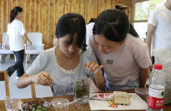 服务团成员引导小朋友亲手设计生态瓶布局。beat365在线体育官网登录入口供图