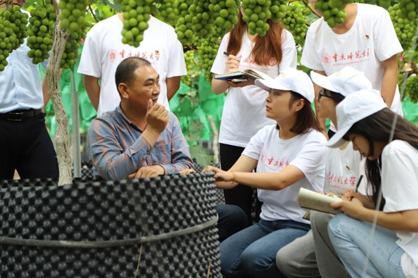 实践团学习葡萄种植与管理技术。beat365在线体育官网登录入口供图